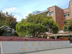 成都美视国际学校高中IB国际文凭证书课程